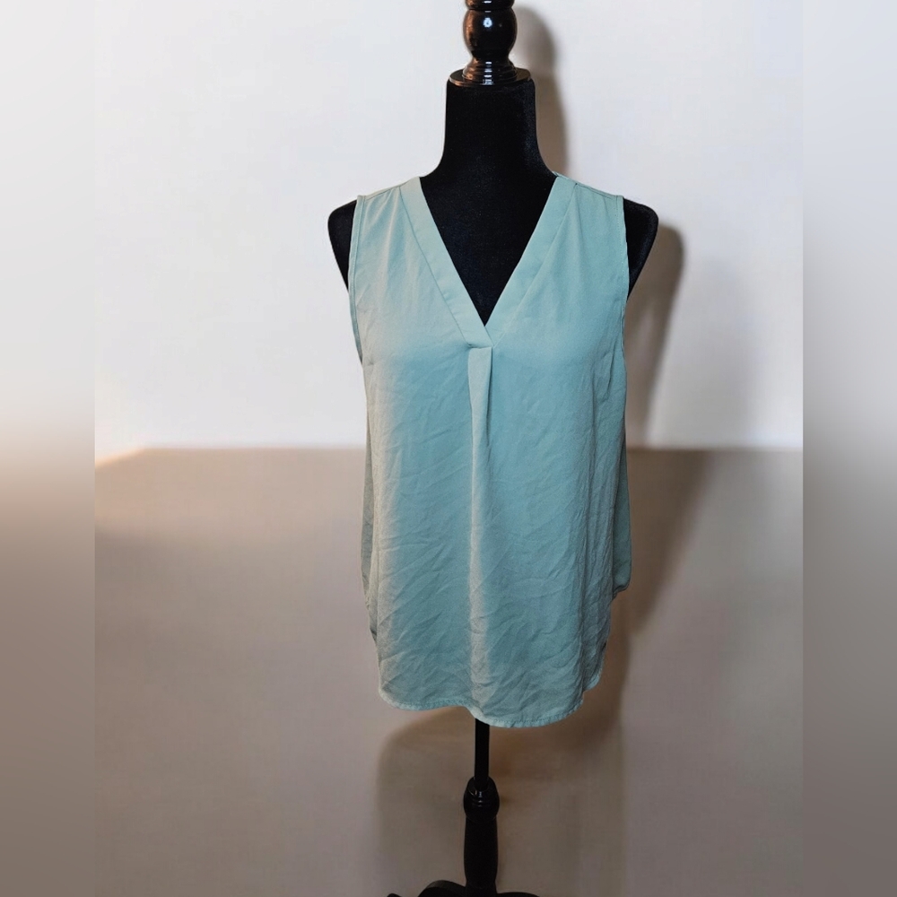 Light Sage Green V-Neck Blouse NWOT size L